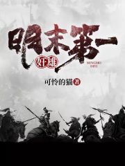 明末第一奸雄在线阅读