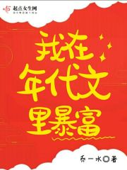 李安安陆铭小说