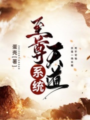 至尊天道系统