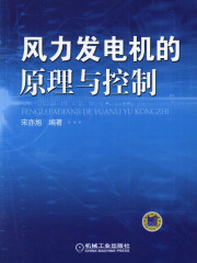 风力发电机的原理与控制