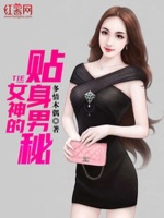 女神的贴身男秘在线阅读