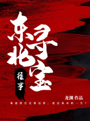 东北寻宝往事在线阅读