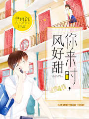 你来时，风好甜在线阅读