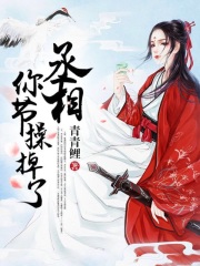 丞相，你节操掉了