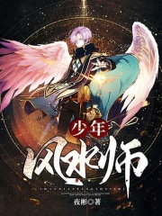 少年风水师