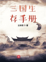 三国生存手册在线阅读