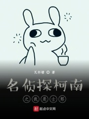 名侦探柯南之我是士郎在线阅读