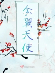 金翼天使在线阅读