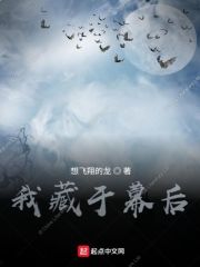 我藏于幕后在线阅读