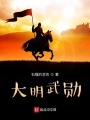 大明武勋在线阅读