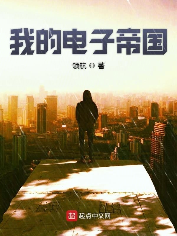 我的电子帝国在线阅读