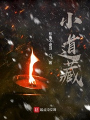 小道藏在线阅读