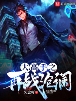 大高手之再战沧澜在线阅读
