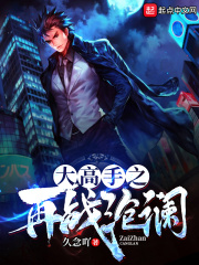 大高手之再战沧澜在线阅读