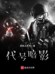 代号暗影在线阅读