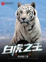 白虎之王在线阅读