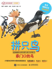 拼只鸟：超有趣的鸟类科普与积木拼搭书
