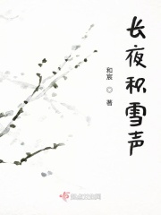 长夜积雪声