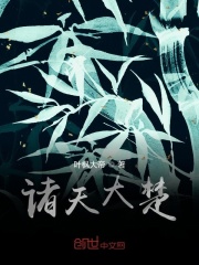 诸天大楚在线阅读