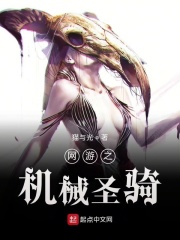网游之机械圣骑在线阅读