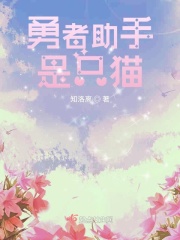 勇者助手是只猫（韩霜）