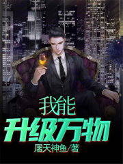 我能升级万物