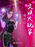 崛起之文娱大玩家在线阅读