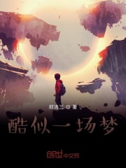 酷似一场梦在线阅读