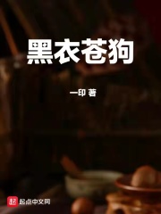 黑衣苍狗