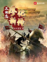 三国志廖化新传在线阅读