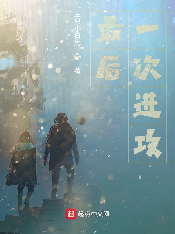 最后一次进攻在线阅读