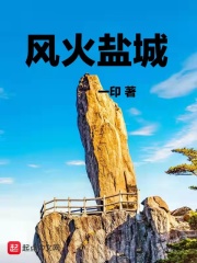 风火盐城在线阅读