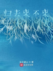 归去来不来在线阅读