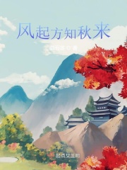 风起方知秋来在线阅读