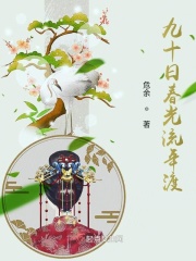 九十日春光流年渡在线阅读