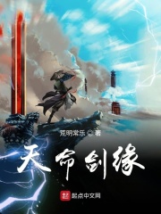 落雪剑缘