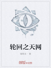 轮回之天网