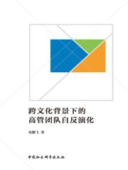 跨文化背景下的高管团队自反演化