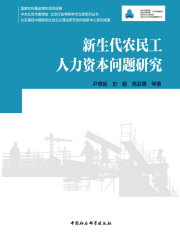 新生代农民工人力资本问题研究