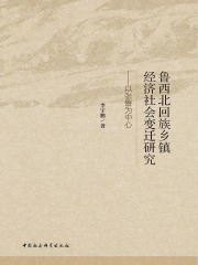鲁西北回族乡镇经济社会变迁研究：以张鲁为中心