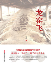 龙窑飞