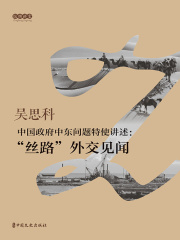 中国政府中东问题特使讲述：“丝路”外交见闻