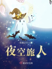夜空旅人在线阅读