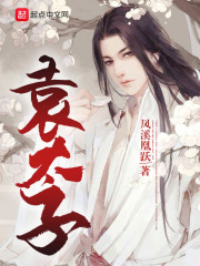 袁太子在线阅读