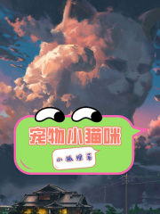 宠物小猫咪