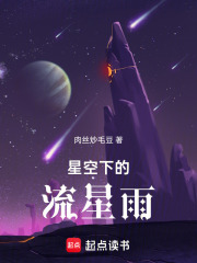 星空下的流星雨