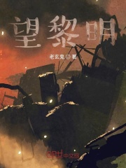 望黎明在线阅读