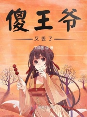 傻王爷又丢了在线阅读