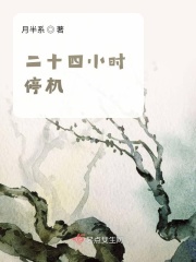 二十四小时停机在线阅读