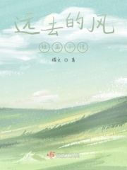 远去的风